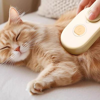 Petopia Brosse humide sèche  et chat