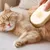Petopia Brosse humide sèche  et chat