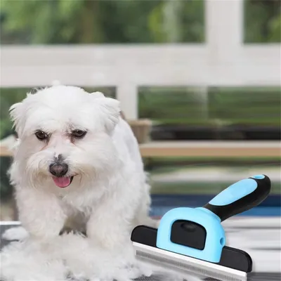 Pet Planet Outil de brossage pour chiens et chats