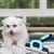 Pet Planet Outil de brossage pour chiens et chats