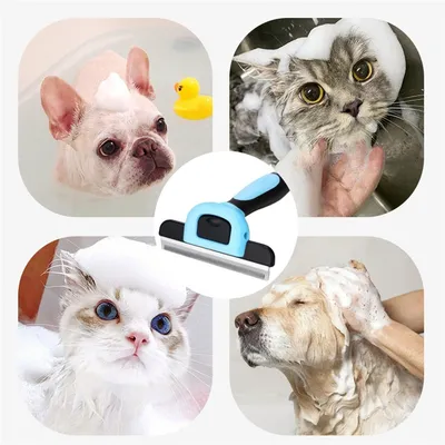 Pet Planet Outil de brossage pour chiens et chats