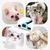 Pet Planet Outil de brossage pour chiens et chats