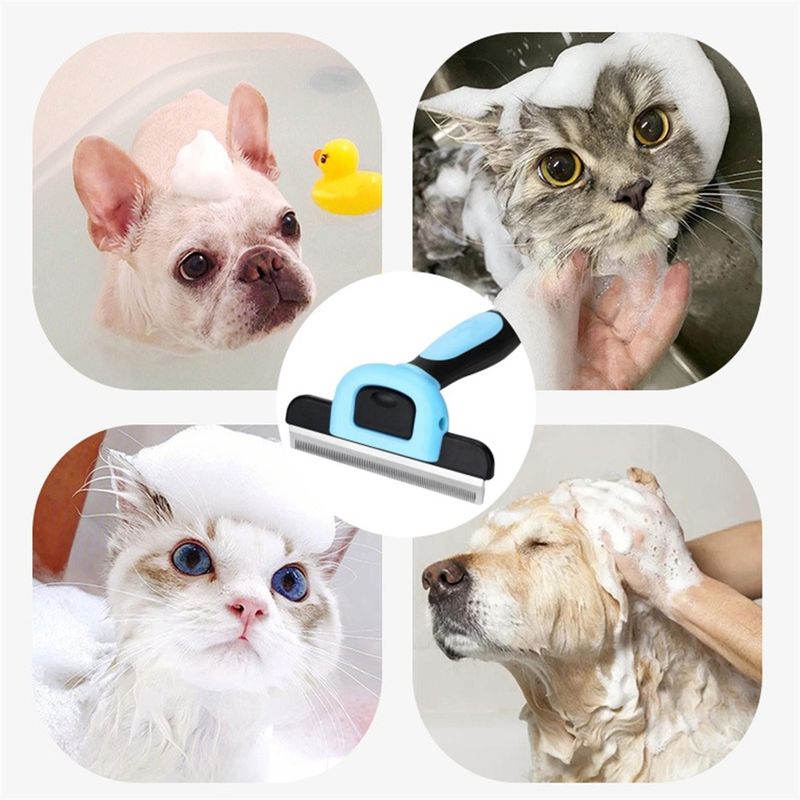 Pet Planet Outil de brossage pour chiens et chats