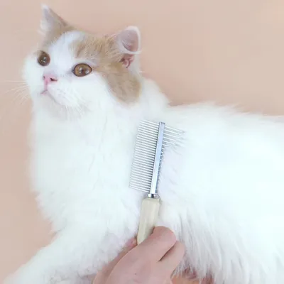 Petopia Peigne de toilettage pour chat