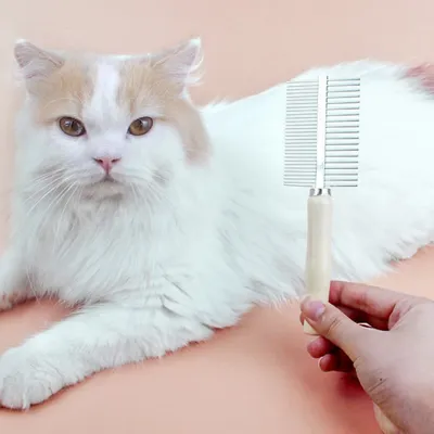 Petopia Peigne de toilettage pour chat