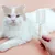 Petopia Peigne de toilettage pour chat