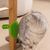 Petopia Brosse de bain en caoutchouc pour animaux