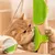Petopia Brosse de bain en caoutchouc pour animaux