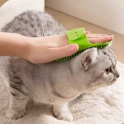 Petopia Brosse de bain en caoutchouc pour animaux