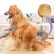 Petopia Brosse pour chien et chat en acier inoxydable