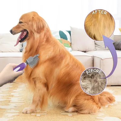Petopia Brosse pour chien et chat en acier inoxydable