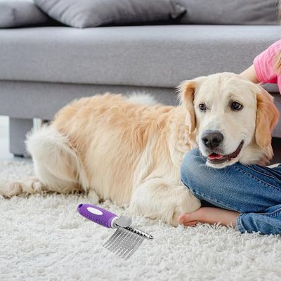 Petopia Brosse pour chien et chat en acier inoxydable