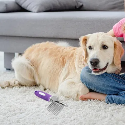 Petopia Brosse pour chien et chat en acier inoxydable