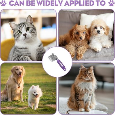 Petopia Brosse pour chien et chat en acier inoxydable