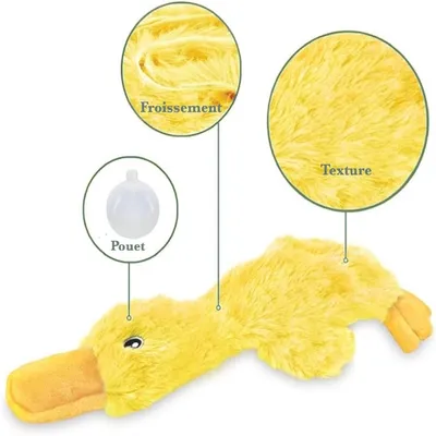 Petopia Jouet canard plat sans rembourrage pour chien