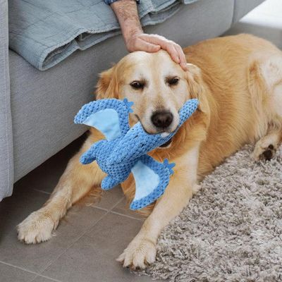 Petopia Jouet en peluche dinosaure grinçant pour chien