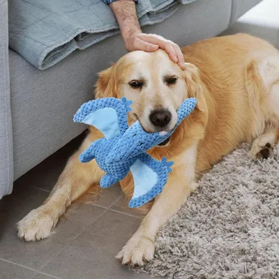 Petopia Jouet en peluche dinosaure grinçant pour chien