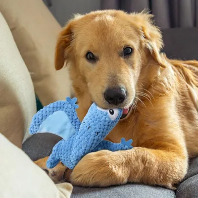 Petopia Jouet en peluche dinosaure grinçant pour chien