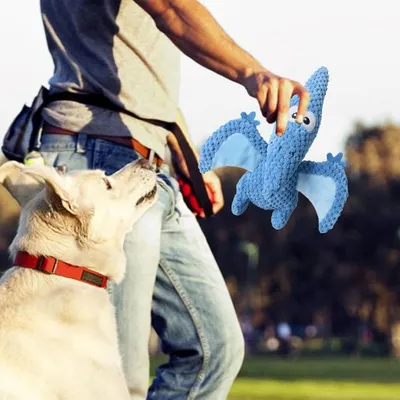 Petopia Jouet en peluche dinosaure grinçant pour chien
