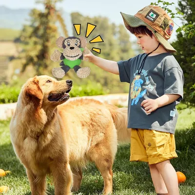 Petopia Jouet en peluche en forme de singe pour chien