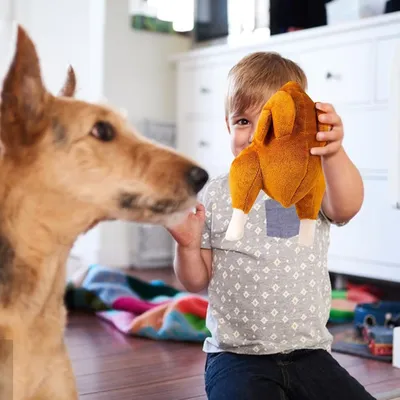 Petopia Jouet en peluche en forme de poulet rôti pour chien