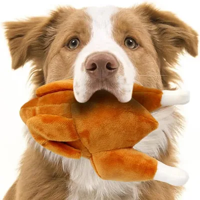 Petopia Jouet en peluche en forme de poulet rôti pour chien