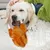 Petopia Jouet en peluche en forme de poulet rôti pour chien