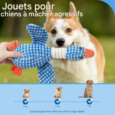 PetopiaJouets en peluche pour chiens
