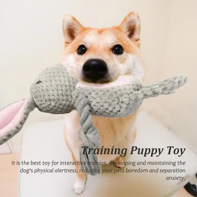 Petopia Jouet couineur interactif pour chien