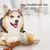 Petopia Jouet couineur interactif pour chien
