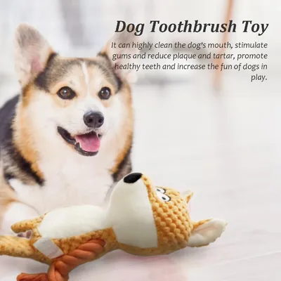 Petopia Jouet couineur interactif pour chien