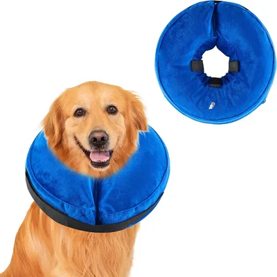 Pet Planet Collier protecteur gonflable pour chien Pet Planet Collier protecteur gonflable pour chien