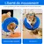 Pet Planet Collier protecteur gonflable pour chien
