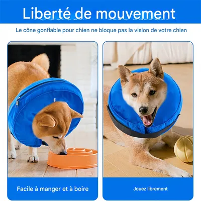 Pet Planet Collier protecteur gonflable pour chien