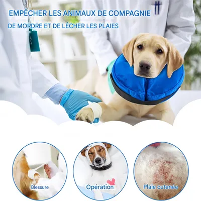 Pet Planet Collier protecteur gonflable pour chien