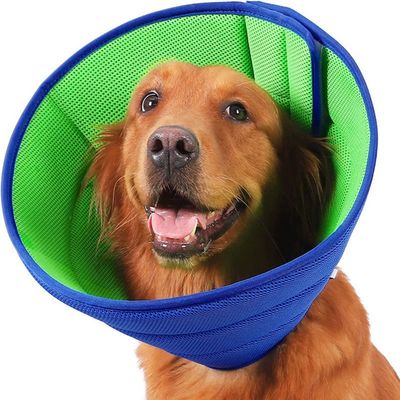 Petopia Collier de protection pour chiens