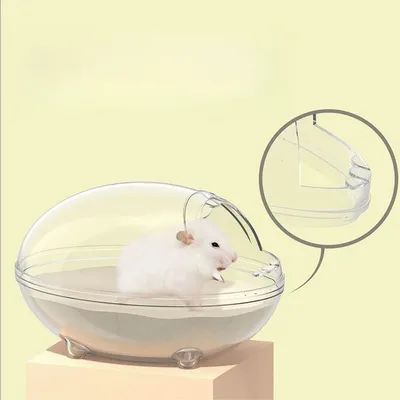 Petopia Baignoire transparente et pelles à sable pour hamster