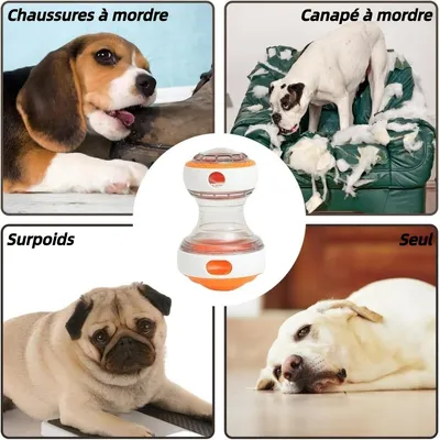 ZooVenture Alimentation Lente Jouet Distributeur Croquettes pour Chien