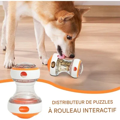 ZooVenture Alimentation Lente Jouet Distributeur Croquettes pour Chien