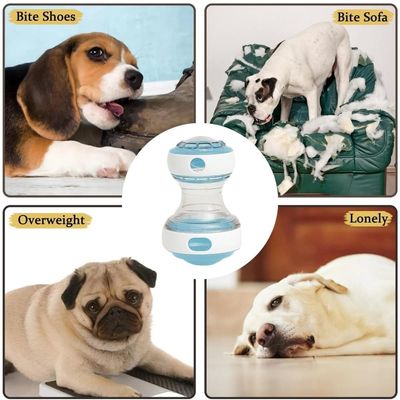 ZooVenture Alimentation Lente Jouet Distributeur Croquettes pour Chien
