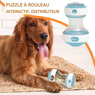 ZooVenture Alimentation Lente Jouet Distributeur Croquettes pour Chien