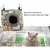 Pet Planet Hamsters et Rats Hamacs