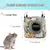 Pet Planet Hamsters et Rats Hamacs