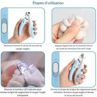 IntiMeg Coupe - Ongles LED pour Chien