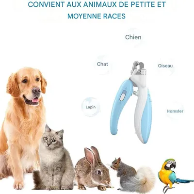 IntiMeg Coupe - Ongles LED pour Chien