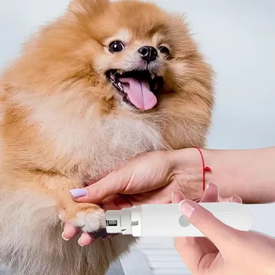 Pet Planet Chats et Chiens Coupe - ongles électrique
