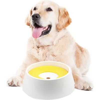 ZooVenture Eau Lente Gamelle pour Animal Domestique ZooVenture Eau Lente Gamelle pour Animal Domestique