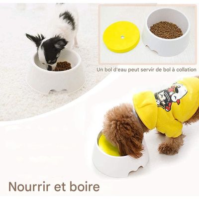 ZooVenture Eau Lente Gamelle pour Animal Domestique