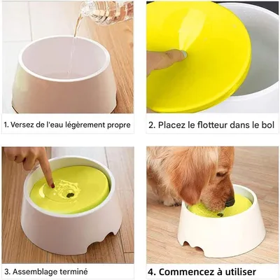 ZooVenture Eau Lente Gamelle pour Animal Domestique