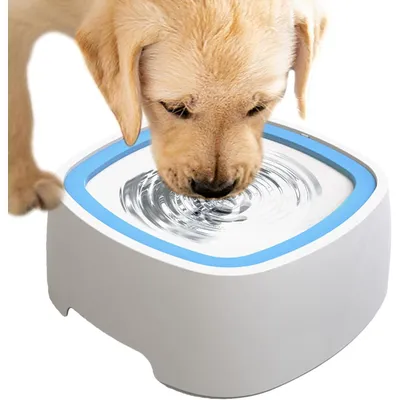 Pet Planet Comedero flotante de gran capacidad para perros y gatos